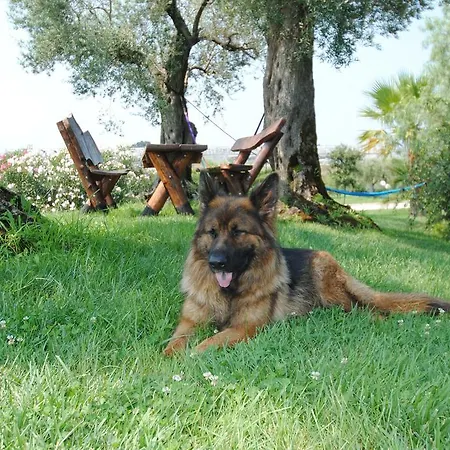 Guest house Primavera