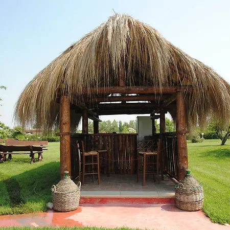 Guest house Primavera 3*